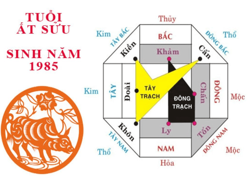 hướng nhà tuổi 1985